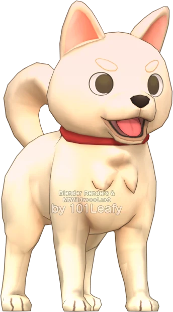 Dog